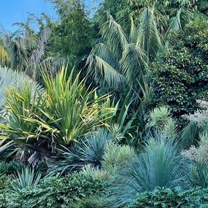 Meet your Posher, Lyndall